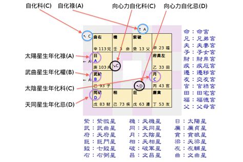 星座科技|科技紫微網：全球最大算命網站，張盛舒創辦